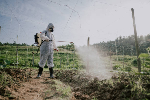 Best Mosquito Control Services  in Frankfort, IN