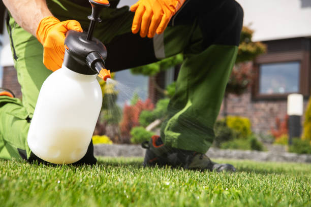 Best Cockroach Control Services  in Frankfort, IN