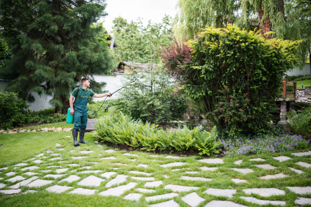 Best Best Pest Control Companies  in Frankfort, IN