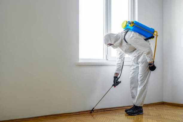 Best Local Pest Control Services  in Frankfort, IN