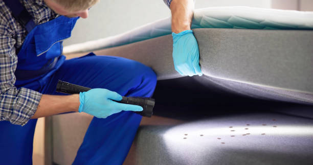 Best Local Pest Control Services  in Frankfort, IN