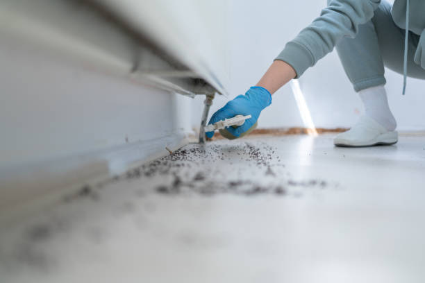 Pest Control for Restaurants in Frankfort, IN